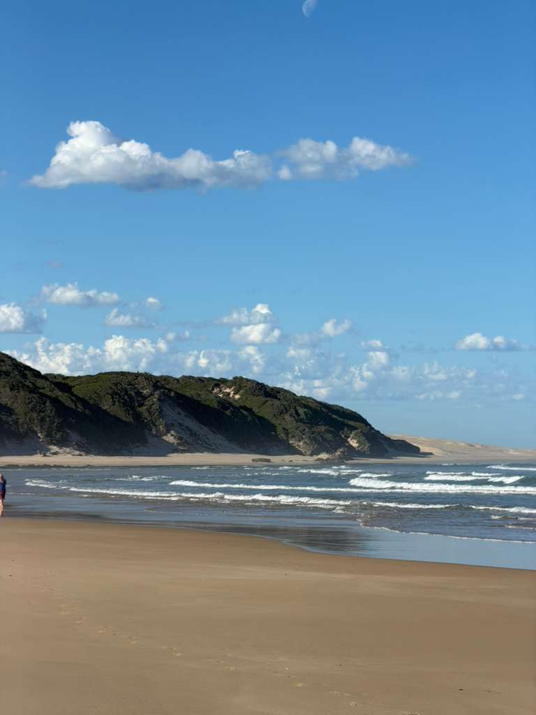Coastal dunes on the South African coast