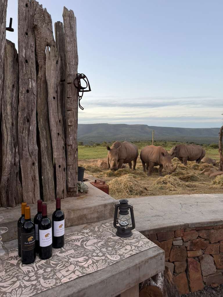 Rhinos at sundowners