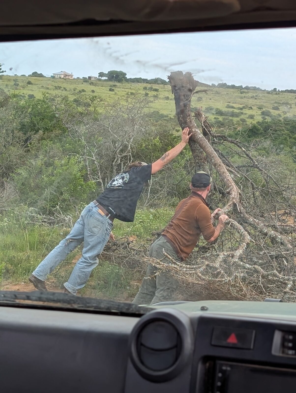 Veterans clearing a fallen tree from the track