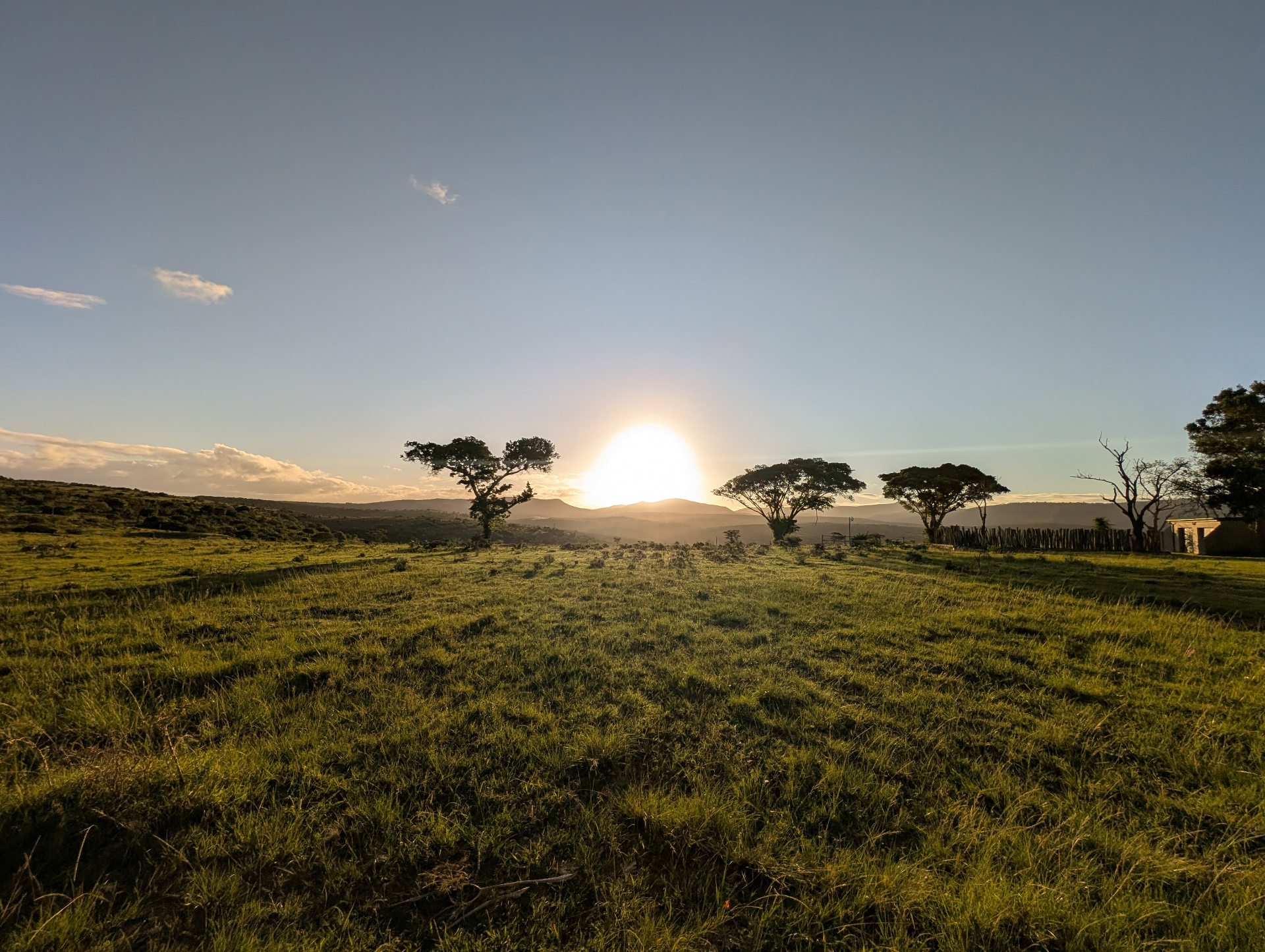 Sunrise over the reserve